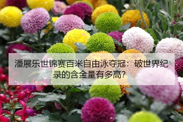 潘展乐世锦赛百米自由泳夺冠：破世界纪录的含金量有多高？